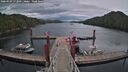 ./images/calvert/dock/20260509/dock20260509_172501M.jpg