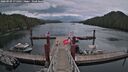 ./images/calvert/dock/20260509/dock20260509_175001M.jpg