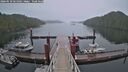 ./images/calvert/dock/20260510/dock20260510_061001M.jpg