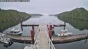 ./images/calvert/dock/20260510/dock20260510_085001M.jpg