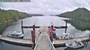 ./images/calvert/dock/20260510/dock20260510_112502M.jpg