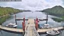 ./images/calvert/dock/20260510/dock20260510_115001M.jpg