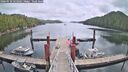 ./images/calvert/dock/20260510/dock20260510_122501M.jpg