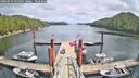 ./images/calvert/dock/20260510/dock20260510_135501M.jpg