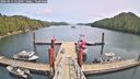 ./images/calvert/dock/20260511/dock20260511_132001M.jpg