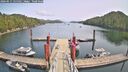 ./images/calvert/dock/20260511/dock20260511_135501M.jpg