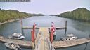 ./images/calvert/dock/20260511/dock20260511_151501M.jpg