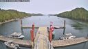 ./images/calvert/dock/20260511/dock20260511_153501M.jpg