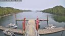 ./images/calvert/dock/20260511/dock20260511_163001M.jpg