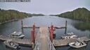 ./images/calvert/dock/20260511/dock20260511_174501M.jpg