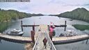 ./images/calvert/dock/20260512/dock20260512_110001M.jpg