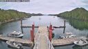 ./images/calvert/dock/20260512/dock20260512_141501M.jpg