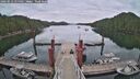 ./images/calvert/dock/20260512/dock20260512_155501M.jpg