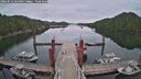 ./images/calvert/dock/20260512/dock20260512_165001M.jpg