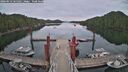 ./images/calvert/dock/20260512/dock20260512_165501M.jpg