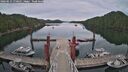 ./images/calvert/dock/20260512/dock20260512_170501M.jpg