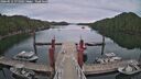 ./images/calvert/dock/20260512/dock20260512_171002M.jpg