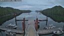 ./images/calvert/dock/20260513/dock20260513_053501M.jpg