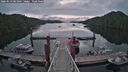 ./images/calvert/dock/20260513/dock20260513_081002M.jpg