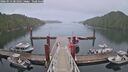 ./images/calvert/dock/20260513/dock20260513_201001M.jpg