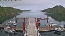 ./images/calvert/dock/20260513/dock20260513_201501M.jpg