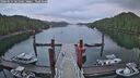 ./images/calvert/dock/20260514/dock20260514_061501M.jpg