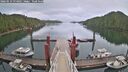 ./images/calvert/dock/20260514/dock20260514_074001M.jpg