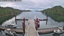 ./images/calvert/dock/20260514/dock20260514_083001M.jpg