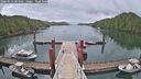 ./images/calvert/dock/20260514/dock20260514_084501M.jpg
