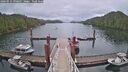 ./images/calvert/dock/20260514/dock20260514_090501M.jpg