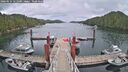 ./images/calvert/dock/20260514/dock20260514_151501M.jpg