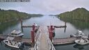 ./images/calvert/dock/20260514/dock20260514_202501M.jpg