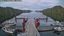 ./images/calvert/dock/20260514/dock20260514_212002M.jpg
