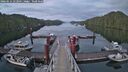 ./images/calvert/dock/20260514/dock20260514_212501M.jpg
