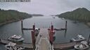 ./images/calvert/dock/20260515/dock20260515_061001M.jpg