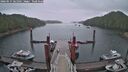 ./images/calvert/dock/20260515/dock20260515_061501M.jpg