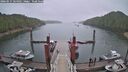 ./images/calvert/dock/20260515/dock20260515_064001M.jpg