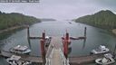 ./images/calvert/dock/20260515/dock20260515_064501M.jpg
