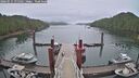 ./images/calvert/dock/20260515/dock20260515_075502M.jpg