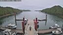 ./images/calvert/dock/20260515/dock20260515_080501M.jpg