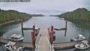 ./images/calvert/dock/20260515/dock20260515_082501M.jpg