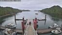 ./images/calvert/dock/20260515/dock20260515_083501M.jpg