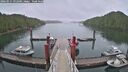 ./images/calvert/dock/20260515/dock20260515_092501M.jpg