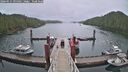 ./images/calvert/dock/20260515/dock20260515_095001M.jpg