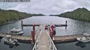./images/calvert/dock/20260515/dock20260515_114501M.jpg