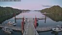 ./images/calvert/dock/20260516/dock20260516_213001M.jpg