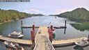 ./images/calvert/dock/20260517/dock20260517_113002M.jpg