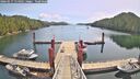 ./images/calvert/dock/20260517/dock20260517_114001M.jpg