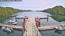 ./images/calvert/dock/20260517/dock20260517_140501M.jpg