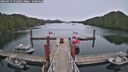./images/calvert/dock/20260517/dock20260517_172501M.jpg